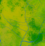 Paraguay Vegetation 774x800